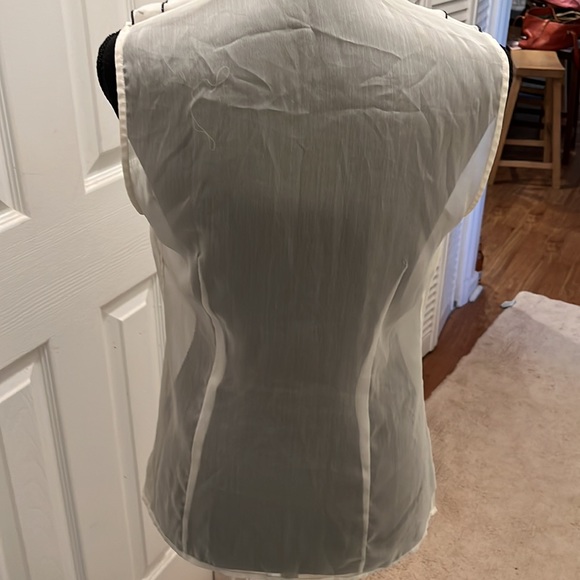 The Limited sheer fitted ruffle front blouse - Picture 3 of 3